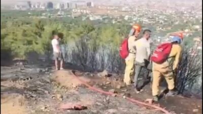 Denizli’nin Merkezefendi ilçesine bağlı Başkarçı Mahallesi’nde bulunan Başkarçı Dağı’nda orman