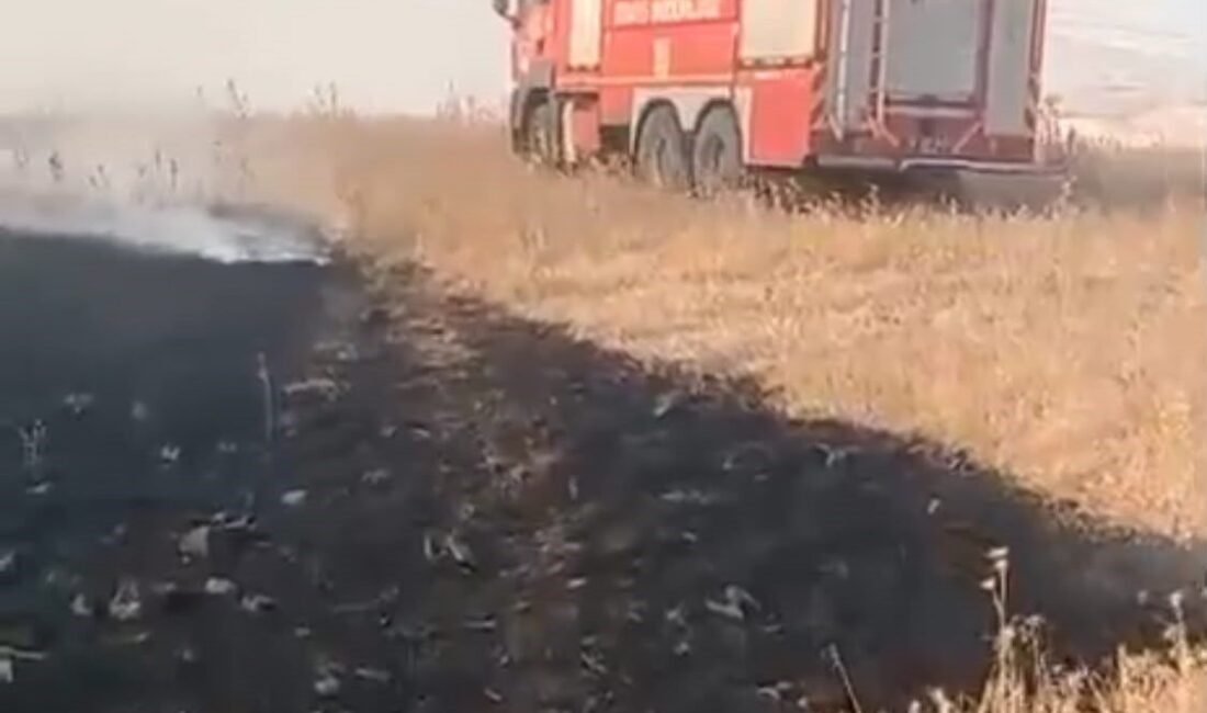 Beşiri ilçesi ile Kıra Dağı arasındaki alanda meydana gelen anız