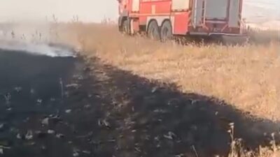 Beşiri ilçesi ile Kıra Dağı arasındaki alanda meydana gelen anız
