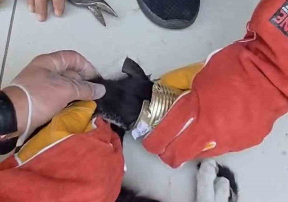 Batman kent merkezinde, bir teneke kutuya kafasını sıkıştıran ve çıkaramayan