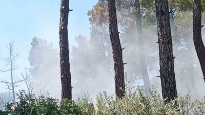 Kızıloba Mahallesi’ne bağlı ormanlık alanda bugün öğleden sonra meydana gelen