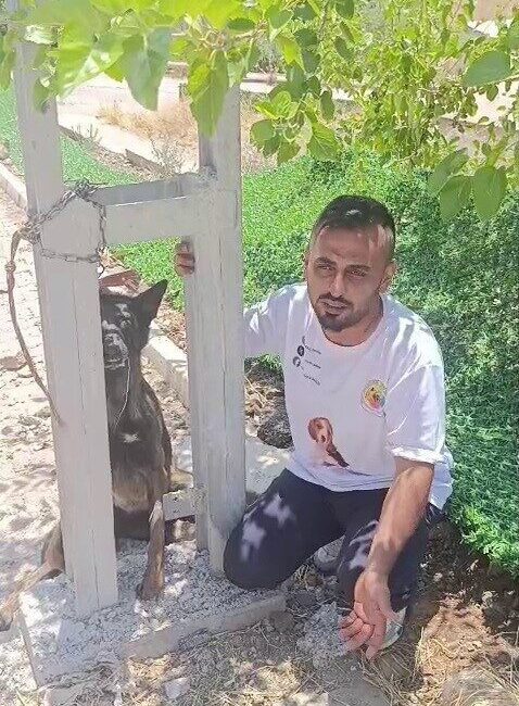 Hatay’da bir evcil hayvan olan Belçika kurdu köpek, Kırıkhan ilçesindeki