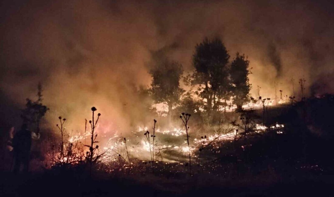 Şırnak’ın Bestler Dereler bölgesinde bulunan 120 dönümlük bir tarla, yangın