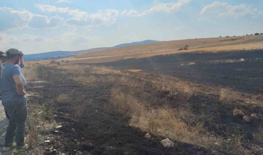Eskişehir’in Seyitgazi ilçesinde bir biçerdöverden çıktığı tespit edilen ekin yangını,