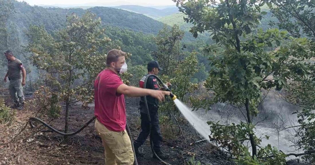 Bilecik’te 20 dönümlük arazide başlayan yangın, çevredeki ormanlık alanlara sıçramadan