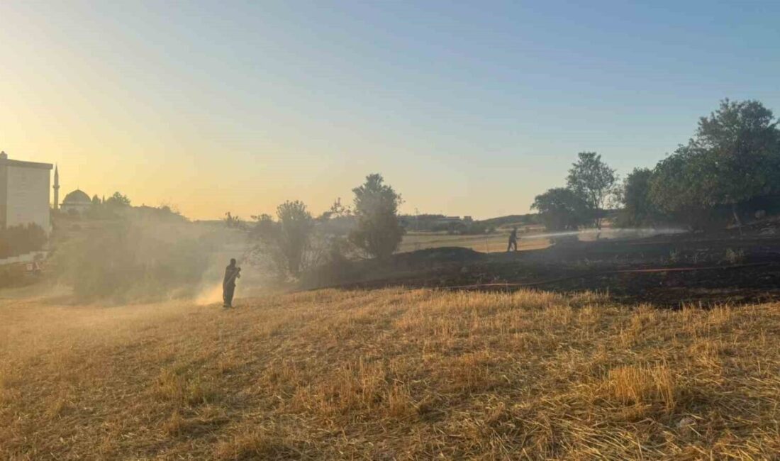 Bilecik’te, Hürriyet Mahallesi Zirvekent bölgesinde arazi yangını kontrolden çıkmadan önce