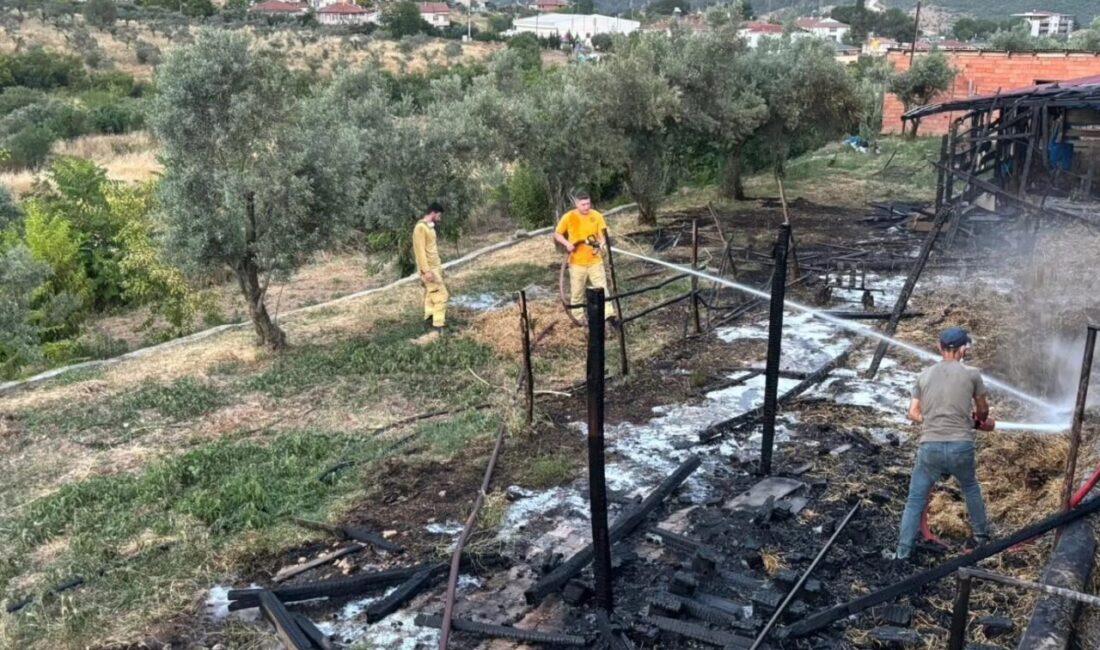 Bilecik’te meydana gelen bir yangın, içinde hayvan bulunmayan bir ahırın