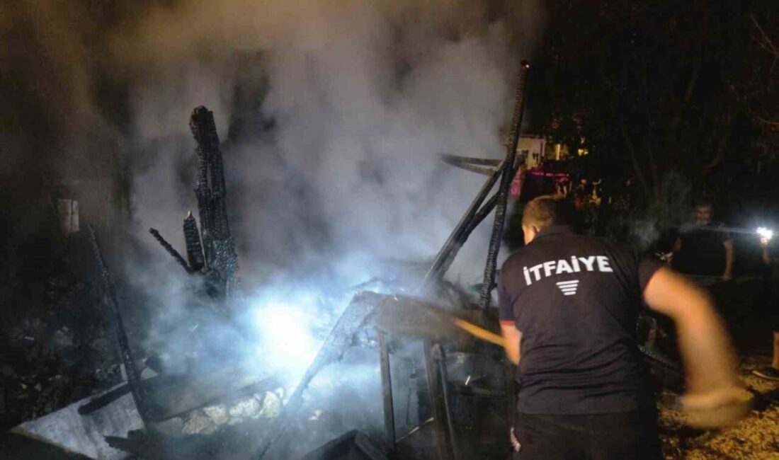 Bilecik’in Gölpazarı ilçesine bağlı İsmetpaşa Mahallesi’nde bir evin yakınındaki depoda
