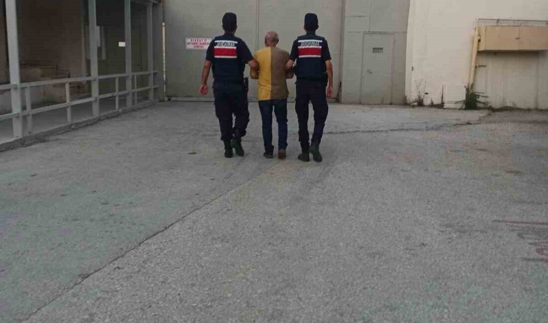 Bilecik’te jandarma ekipleri tarafından gerçekleştirilen devriye çalışmasında, dört ayrı suç