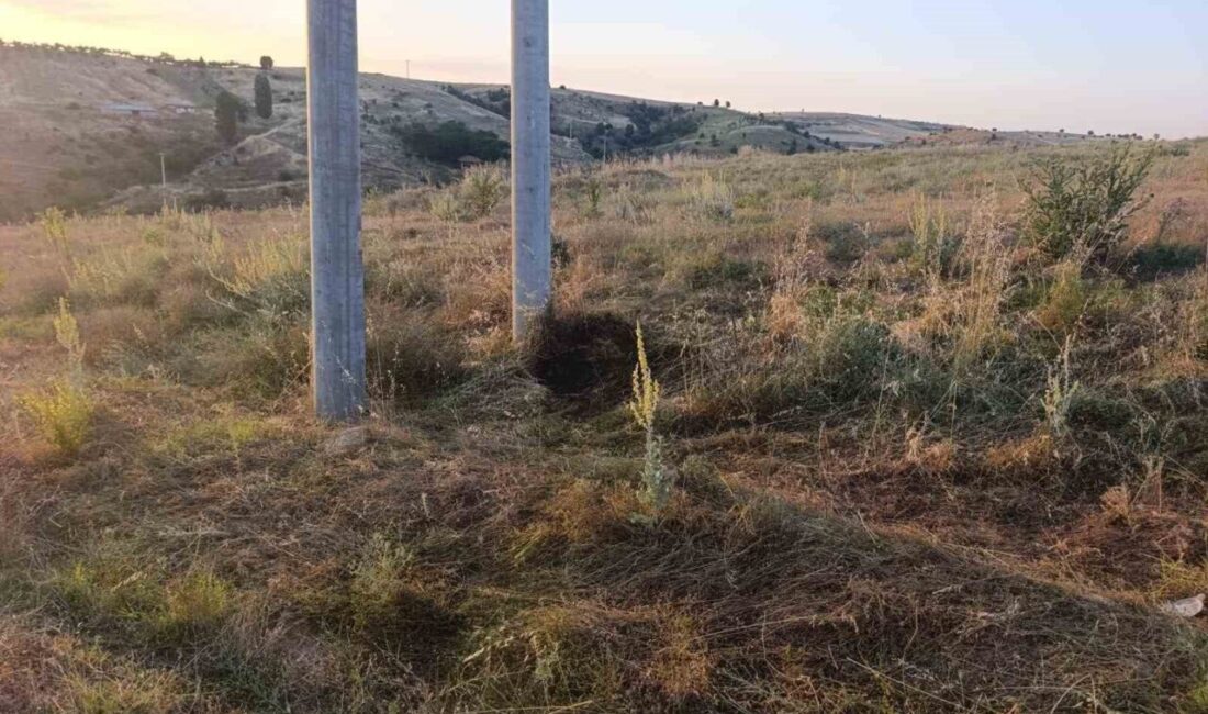 Bilecik’te bir kuşun elektrik tellerine çarpması sonucu çıkan yangın kontrol