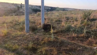 Bilecik’te bir kuşun elektrik tellerine çarpması sonucu çıkan yangın kontrol