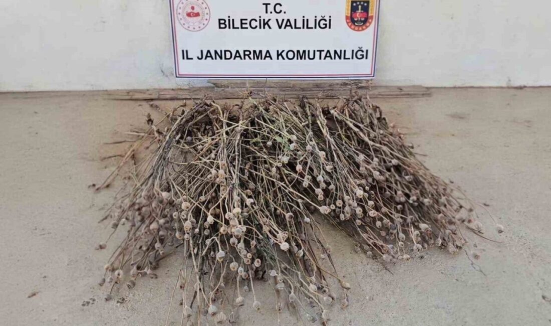 Bilecik’te jandarma ekipleri tarafından gerçekleştirilen operasyonda, izinsiz olarak ekilmiş 136