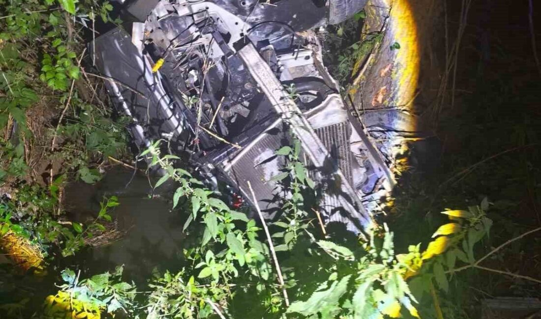 Bilecik’te gece saatlerinde meydana gelen trafik kazasında bir otomobil şarampole
