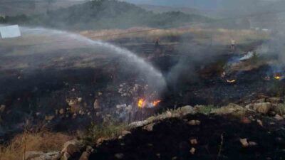 Bilecik’in Osmaneli ilçesinde otluk alanda çıkan yangın korku ve endişeye