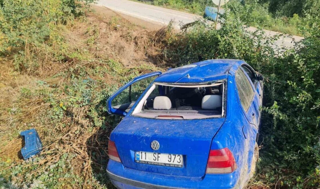 Bilecik’te meydana gelen trafik kazasında bir kişi yaralandı. Kaza, Osmaneli-Pamukova