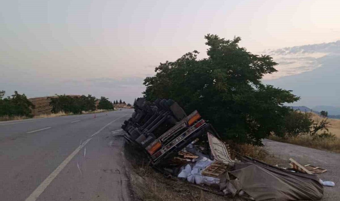 Bilecik’in Söğüt ilçesinde bir tırın kontrolden çıkarak yan yatması sonucu