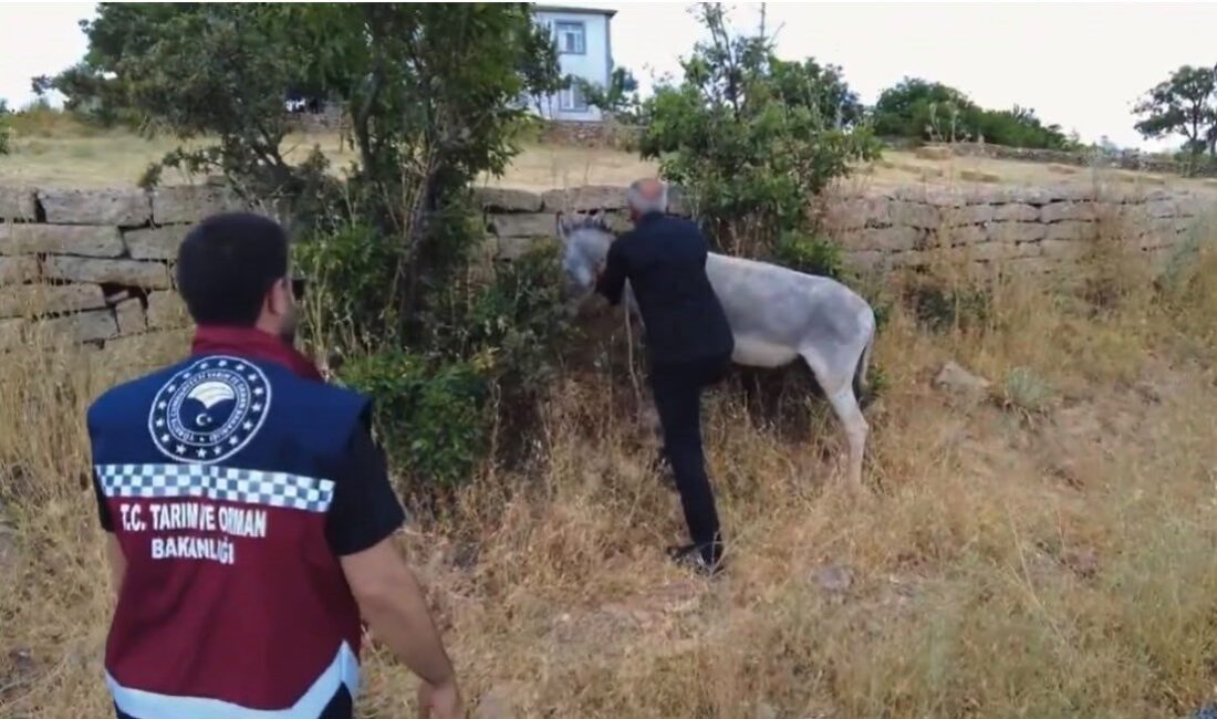 Bingöl’de, Valilik koordinesinde gerçekleştirilen çalışmalar sonucunda Bingöl-Erzurum ve Bingöl-Muş karayollarında