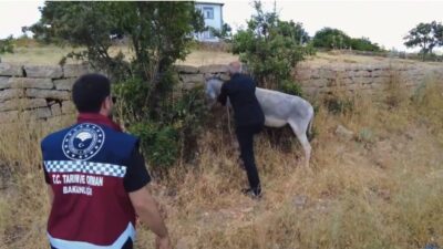 Bingöl’de, Valilik koordinesinde gerçekleştirilen çalışmalar sonucunda Bingöl-Erzurum ve Bingöl-Muş karayollarında