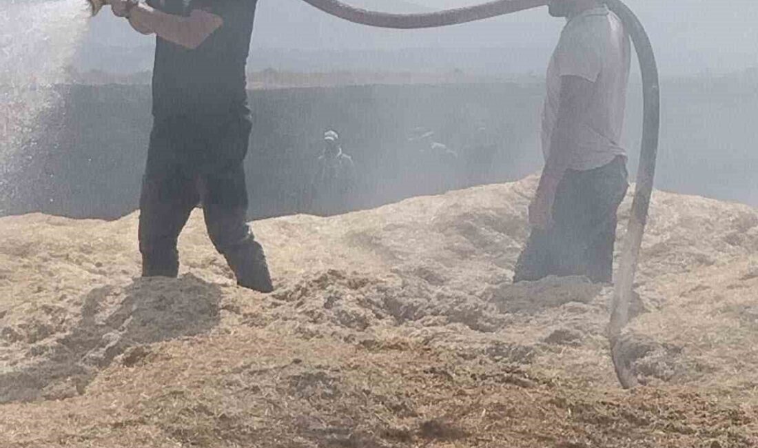 Bingöl’de meydana gelen arazi yangınında, 2 binden fazla dönüm tarım