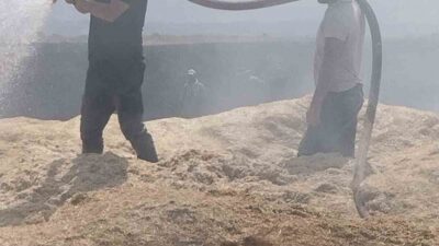 Bingöl’de meydana gelen arazi yangınında, 2 binden fazla dönüm tarım