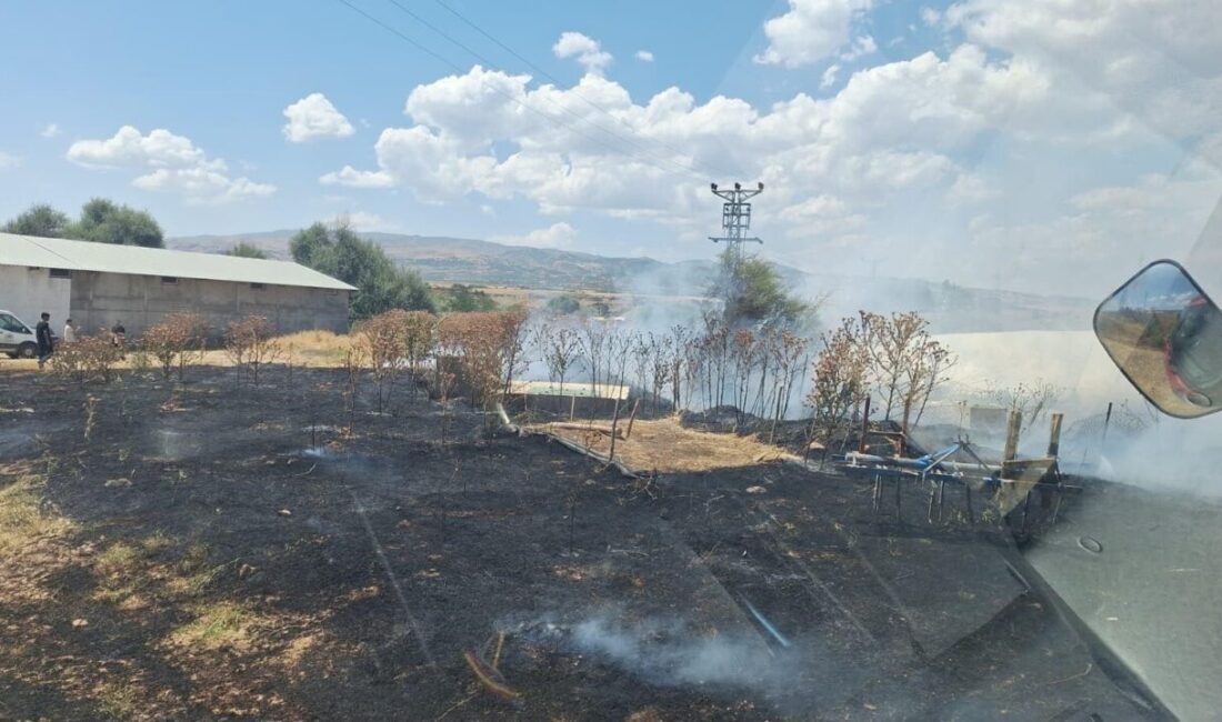 Yangın, Bingöl’ün Kültür Mahallesi Çevre Yolu’ndaki Hanlar bölgesinde meydana geldi