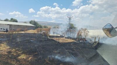 Yangın, Bingöl’ün Kültür Mahallesi Çevre Yolu’ndaki Hanlar bölgesinde meydana geldi