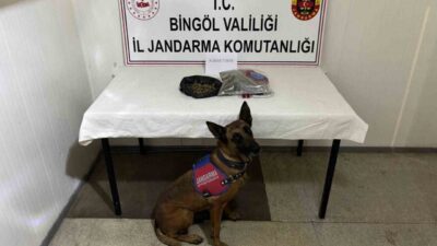 Bingöl ilinde Jandarma ekipleri tarafından gerçekleştirilen operasyonlarda, haklarında kesinleşmiş hapis