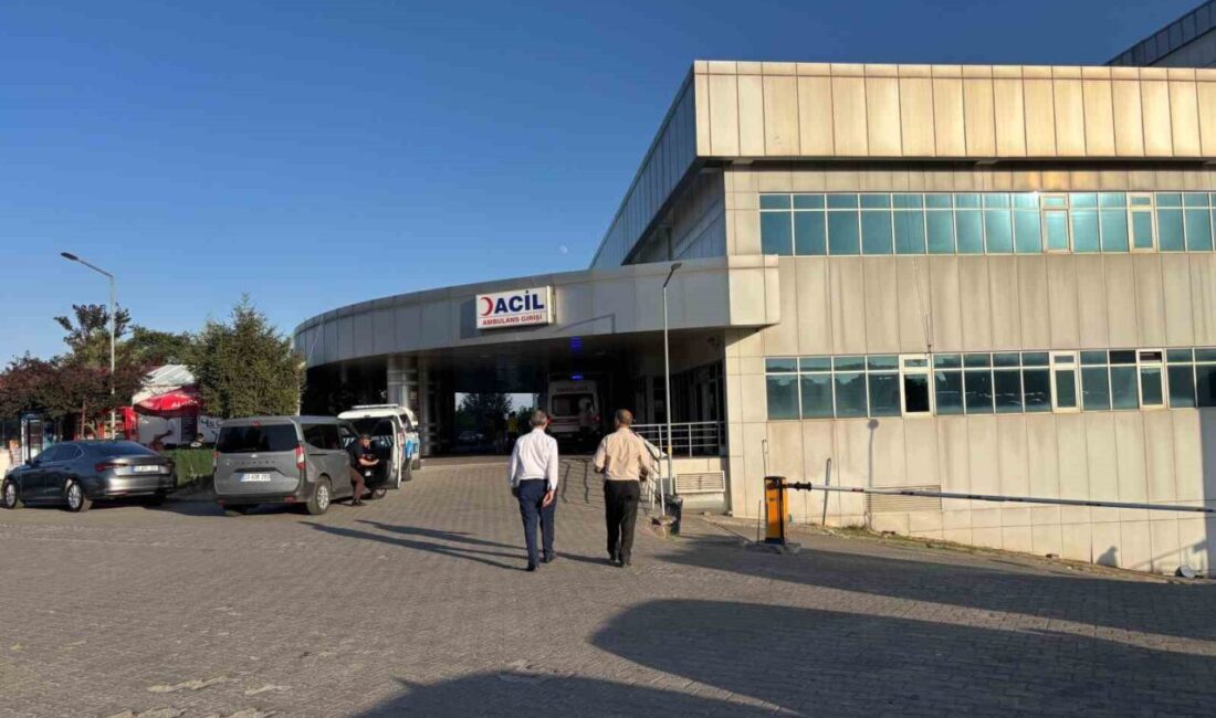 Bingöl’ün Karlıova ilçesine bağlı bir köyde, iki düşman aile arasında
