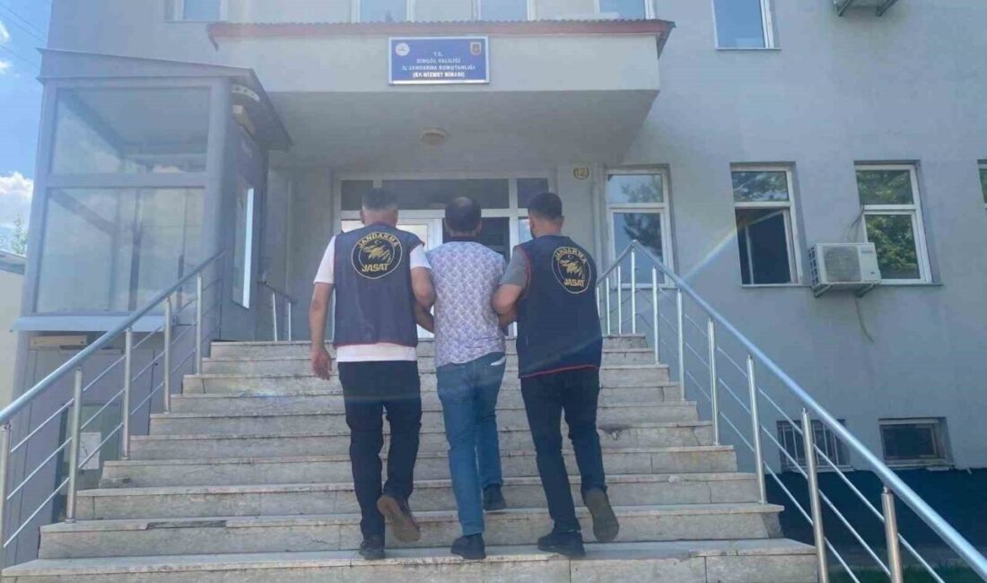 Bingöl’de Jandarma ekipleri tarafından yürütülen operasyonlarda, kesinleşmiş hapis cezaları bulunan