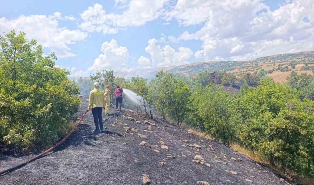 Bingöl merkeze bağlı Yamaç köyünde meydana gelen orman yangını, hızla