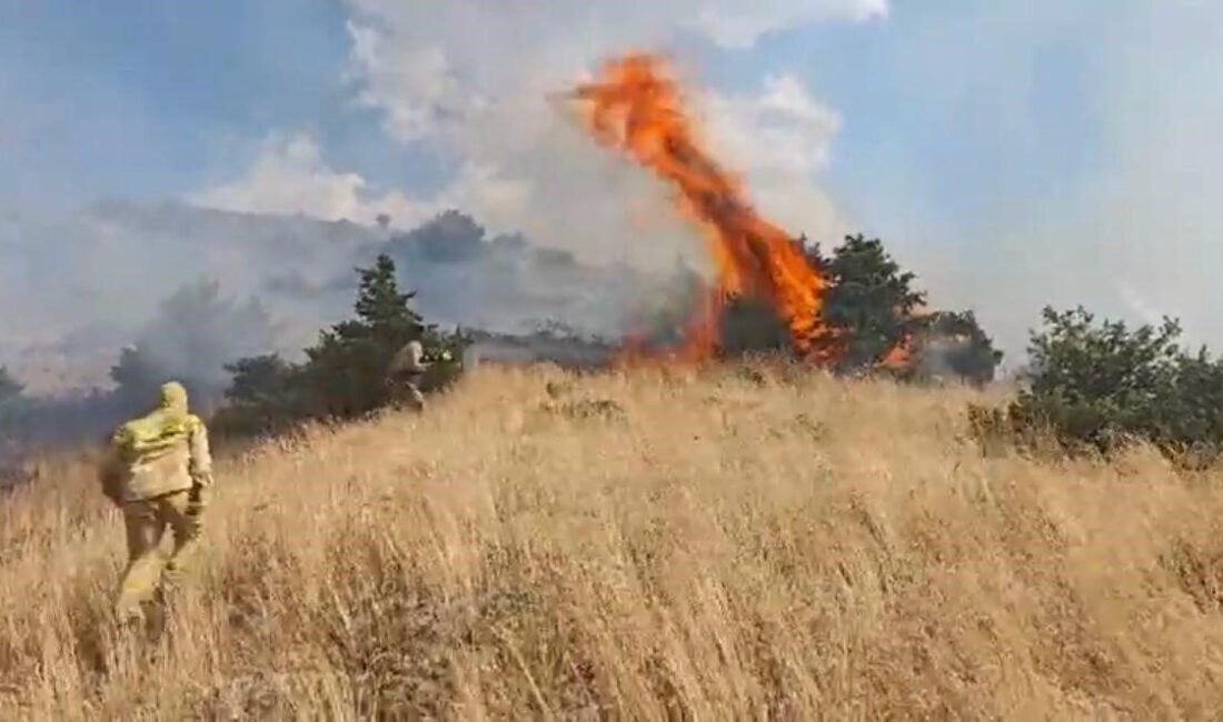 Bingöl’ün Genç ilçesine bağlı Yayla köyünde meydana gelen orman yangını,