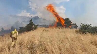 Bingöl’ün Genç ilçesine bağlı Yayla köyünde meydana gelen orman yangını,