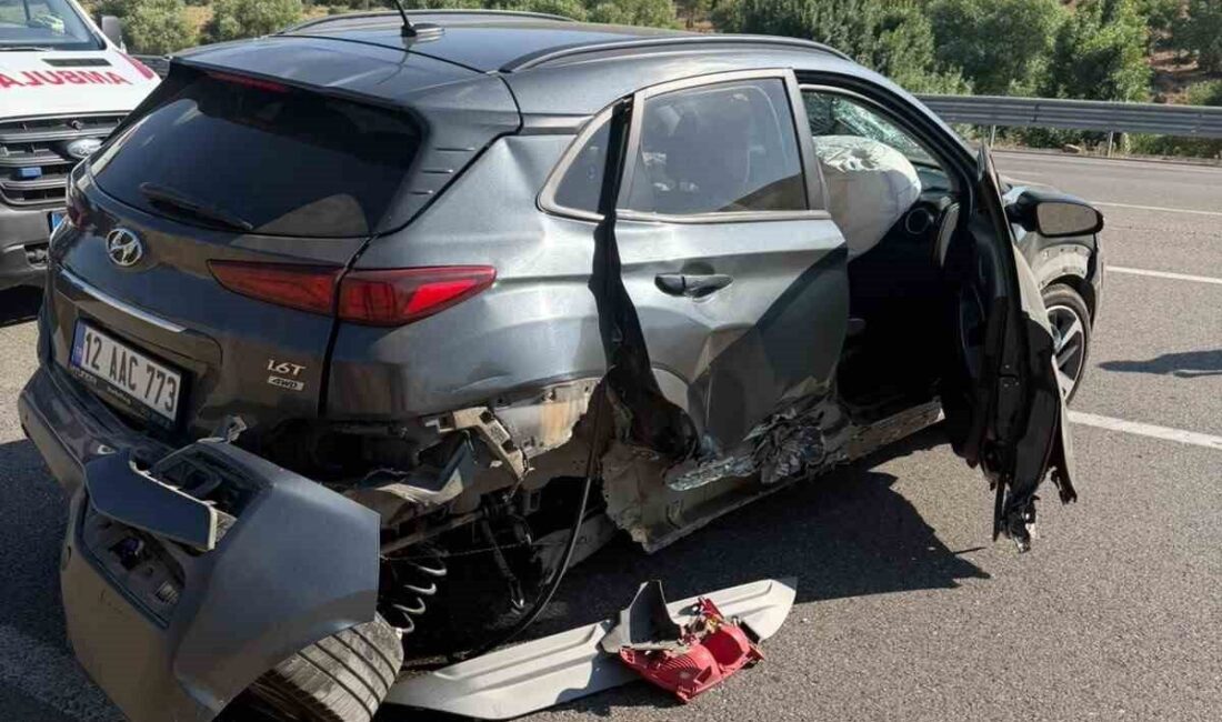 Bingöl’de meydana gelen trafik kazasında otomobilin bariyerlere çarpması sonucunda 2