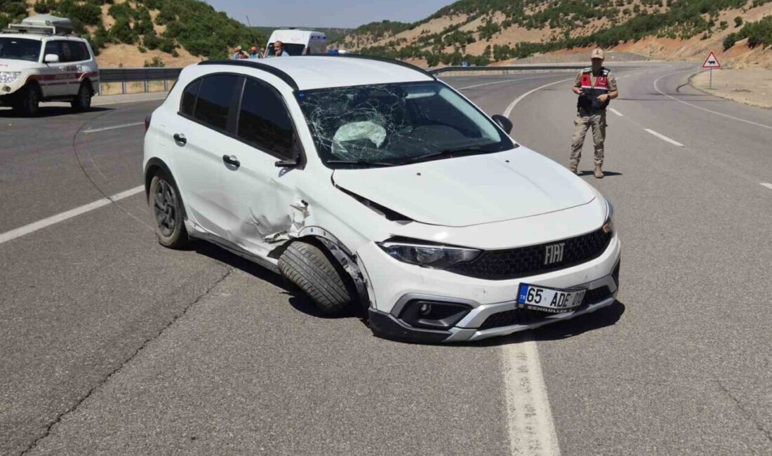 Bingöl’de meydana gelen trafik kazasında otomobilin kontrolünü yitirmesi sonucu bariyerlere