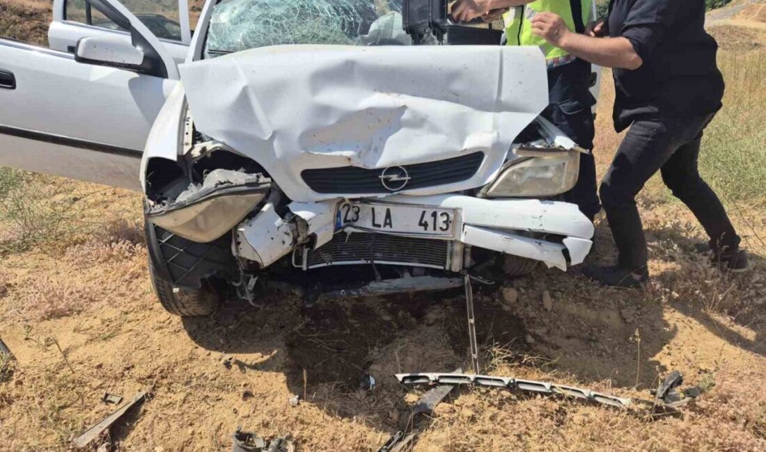 Bingöl ilinde Sarısaman köyü yakınlarında meydana gelen trafik kazasında biri