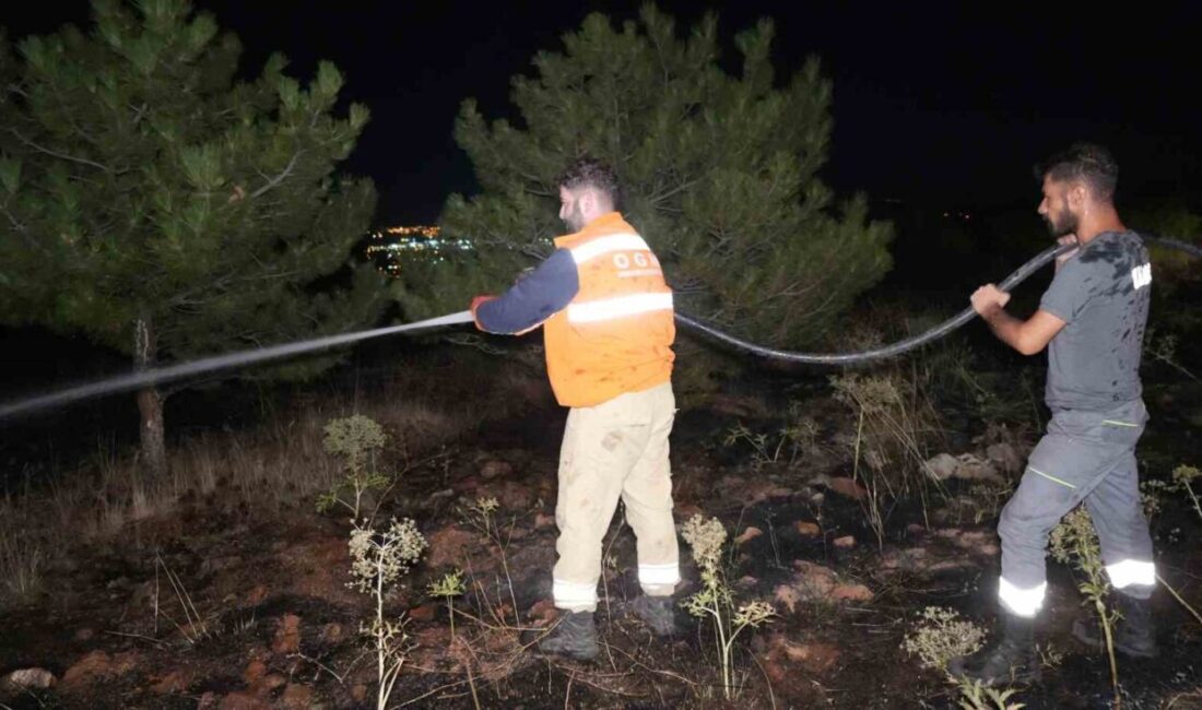 Kızıldağ mevkisindeki çam ormanlarında çıkan yangın, Ahılı köyünde gece saatlerinde