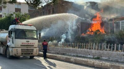 Ahlat ilçesine bağlı Selçuklu Mahallesi’nde bir iş yerinin bahçesinde çıkan