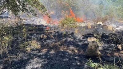 Bitlis’te bugün birden fazla noktada ortaya çıkan yangınlar, şehirde endişe