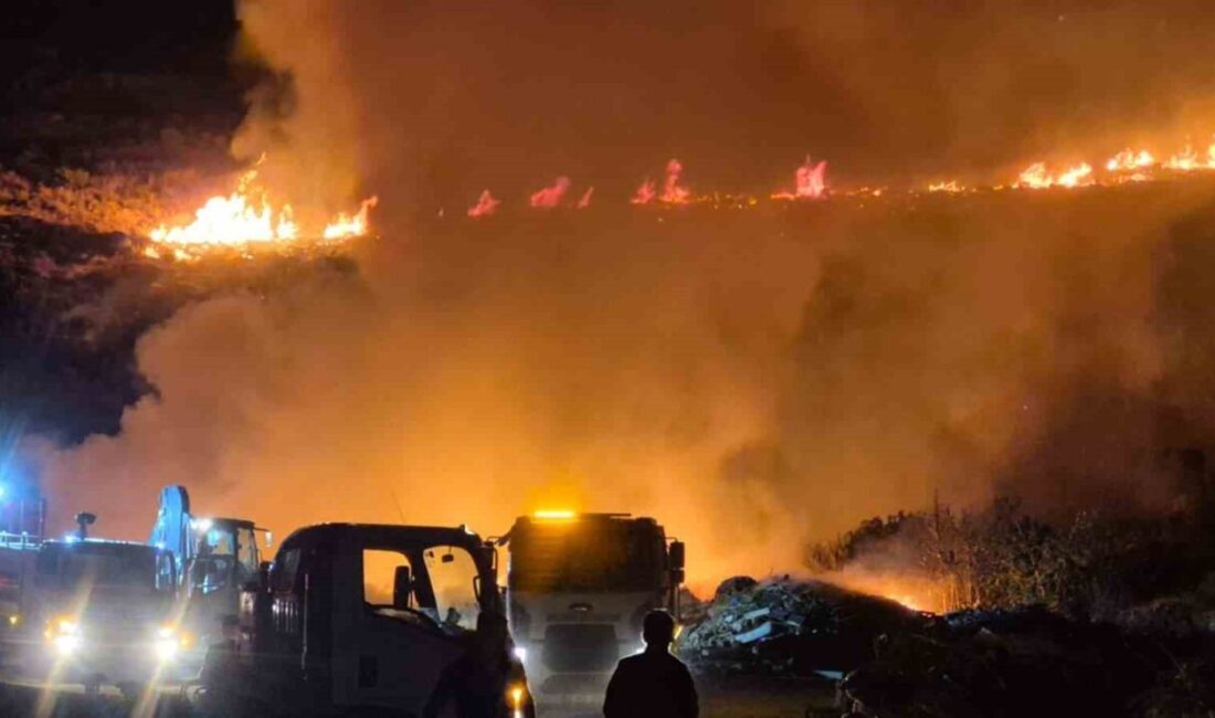 Bodrum’da Ortakent ile Bitez mahalleleri arasındaki arazi yangınına karadan müdahale