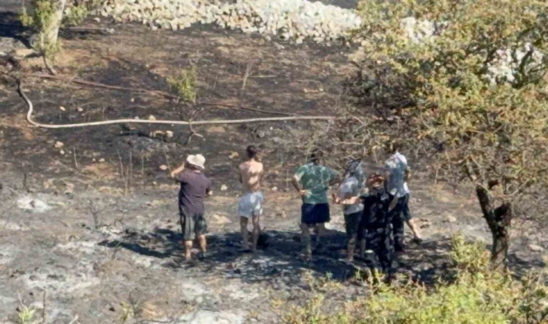 Bodrum ilçesindeki makilik ve otluk alanda çıkan yangın, hava ve