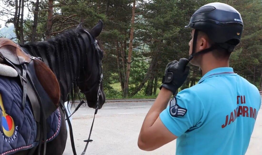 Bolu’daki Abant Gölü Milli Parkı’nda yaz aylarında artan ziyaretçi sayısına