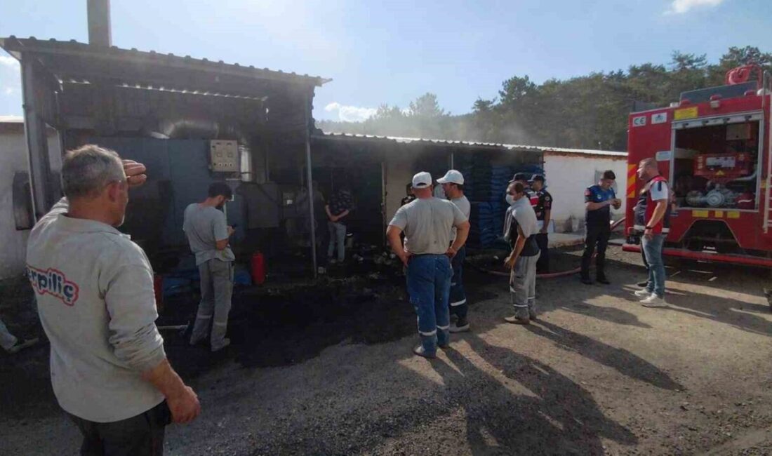 Bolu merkezli Erpiliç şirketine ait damızlık kümeslerinde meydana gelen yangın,