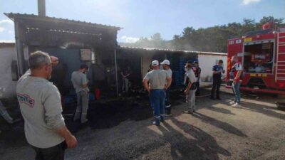 Bolu merkezli Erpiliç şirketine ait damızlık kümeslerinde meydana gelen yangın,