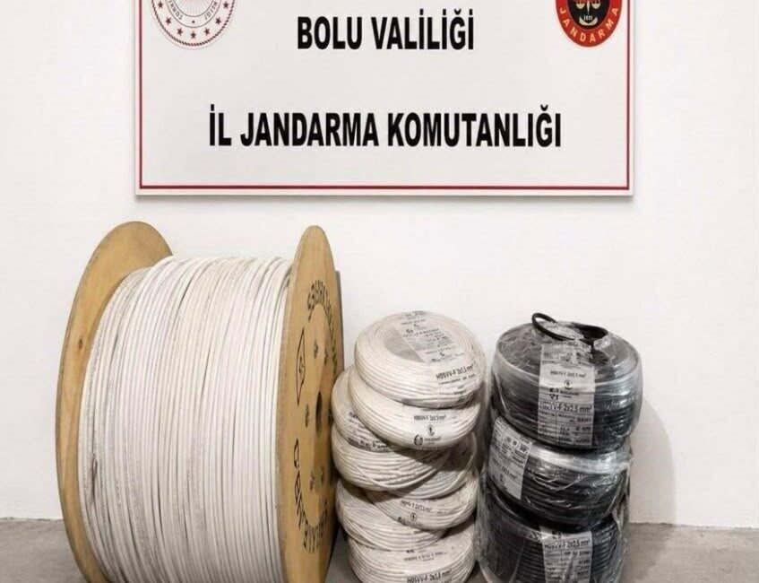 Bolu’da yaşanan hırsızlık olaylarını çözmeye yönelik çalışmalarını sürdüren Jandarma Suç