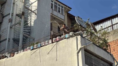 Bolu’nun Karaçayır Mahallesi’nde bir otoparkta çıkan yangın, mahalle sakinlerinin hızlı