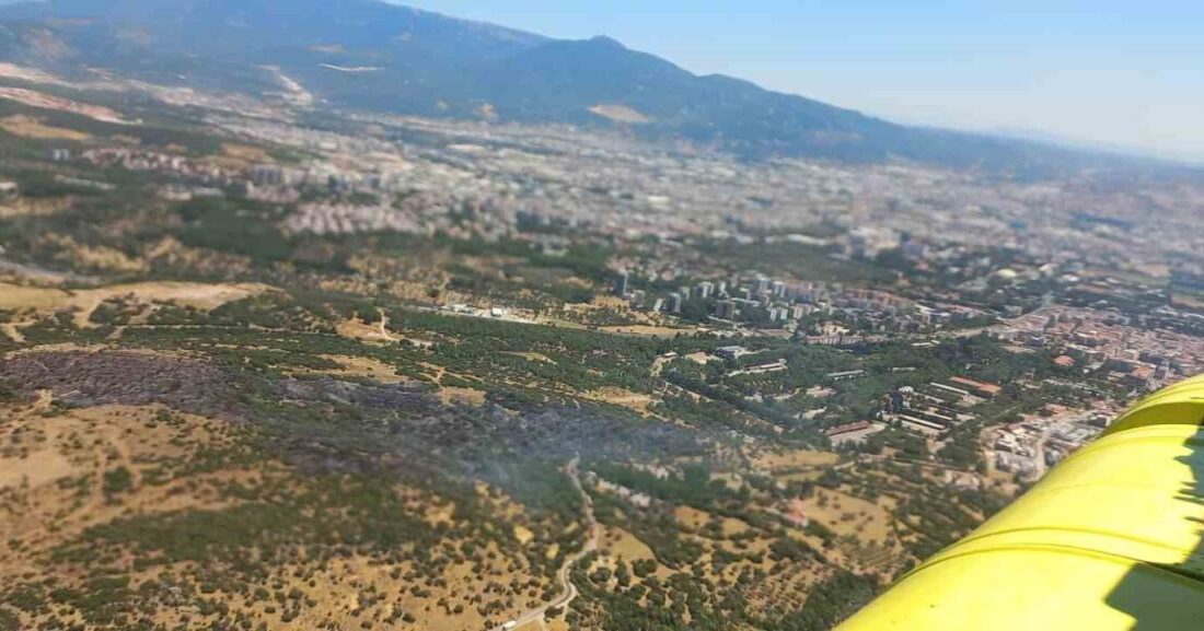 İzmir’in Bornova ilçesinde, İnönü Mahallesi’ndeki ormanlık alanda meydana gelen yangın,