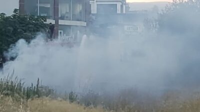 Erdemli ilçesinde meydana gelen yangın, itfaiye ekiplerinin müdahalesiyle bahçeye sıçramadan