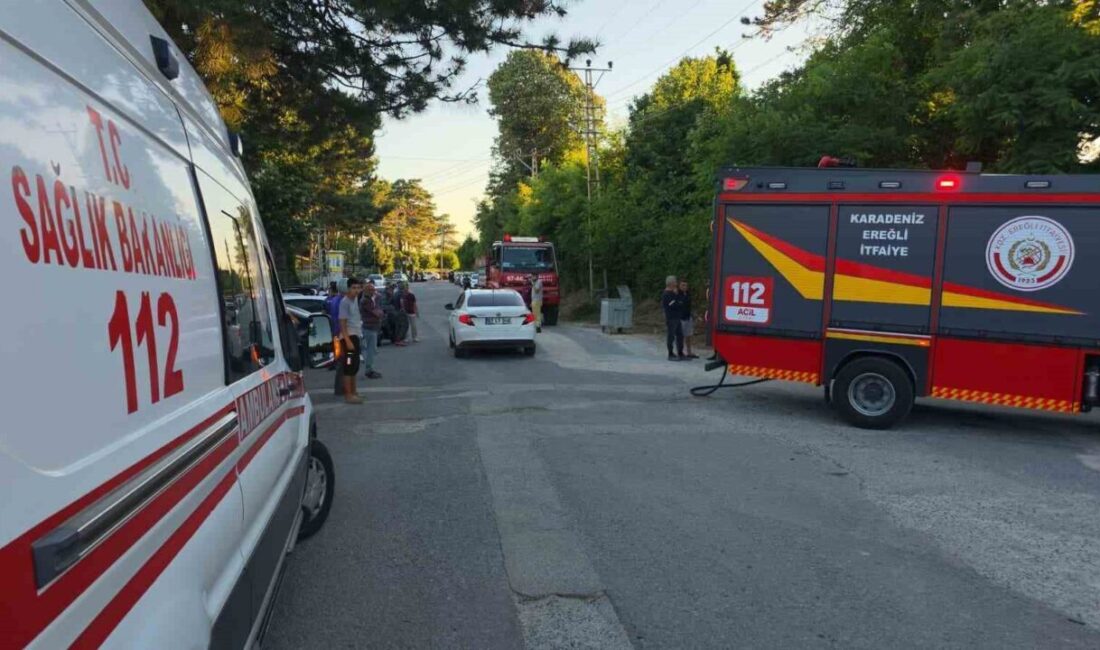 Zonguldak’ın Karadeniz Ereğli ilçesinde boş bir arazide çıkan yangın, ekiplerin