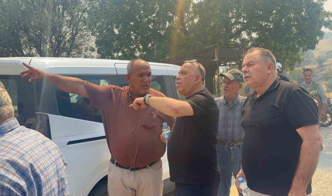 Aydın’ın Bozdoğan ilçesinde tarım ve otlak alanında başlayan yangına, hava