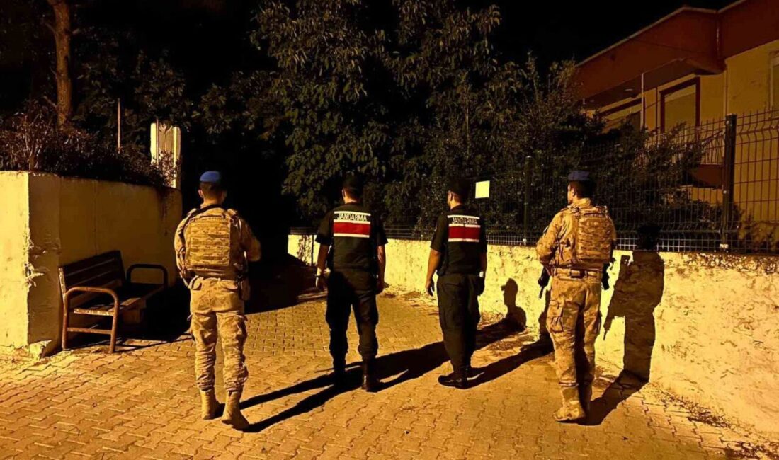 Bozdoğan ilçesinde jandarma ekipleri, orman yangınları ve ürün hırsızlıkları ile